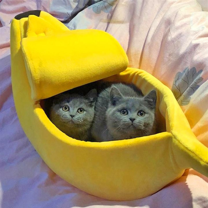 Cat & Pet Banana - InBudgets