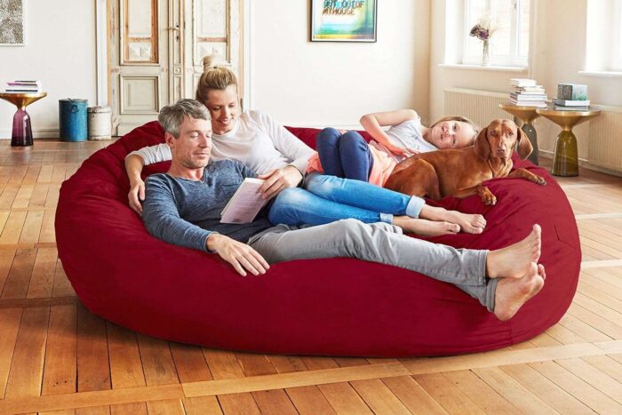 Premium Dog Bed for Humans