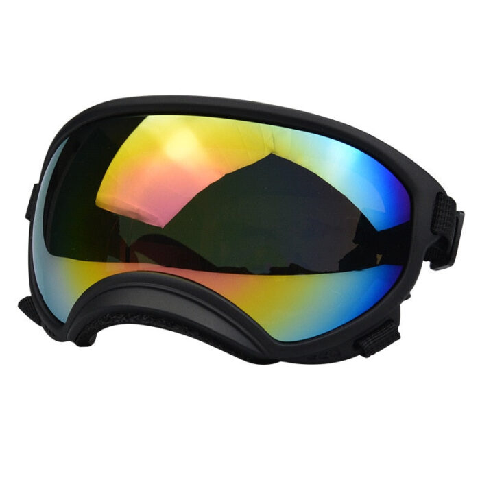 Dog Goggles InBudgets