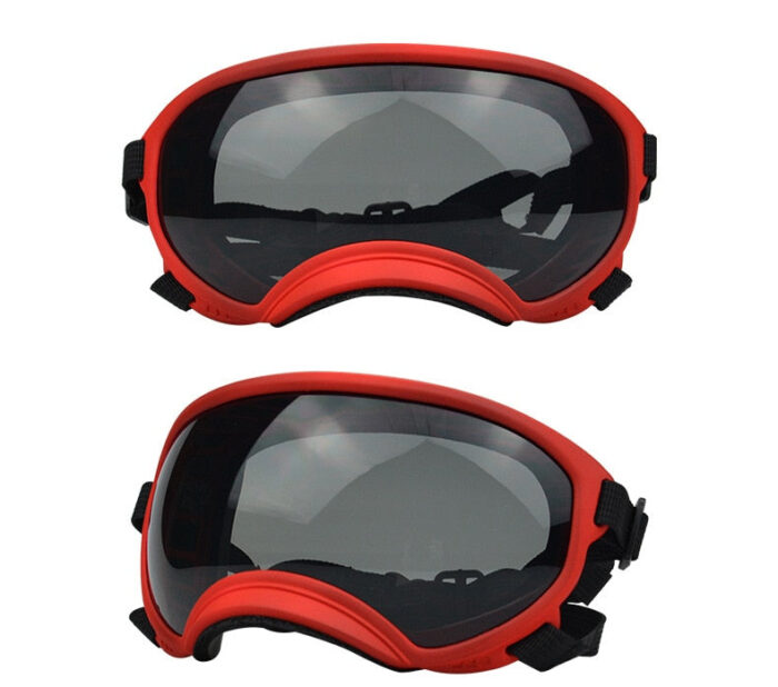 Dog Goggles InBudgets