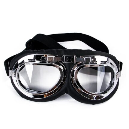 Dog Goggles InBudgets