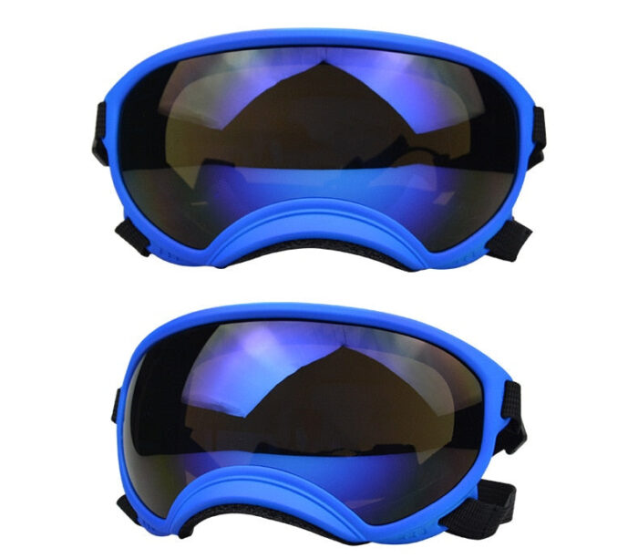 Dog Goggles InBudgets