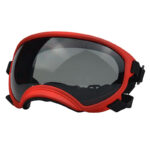 Dog Goggles InBudgets