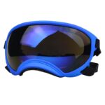 Dog Goggles InBudgets