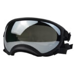 Dog Goggles InBudgets