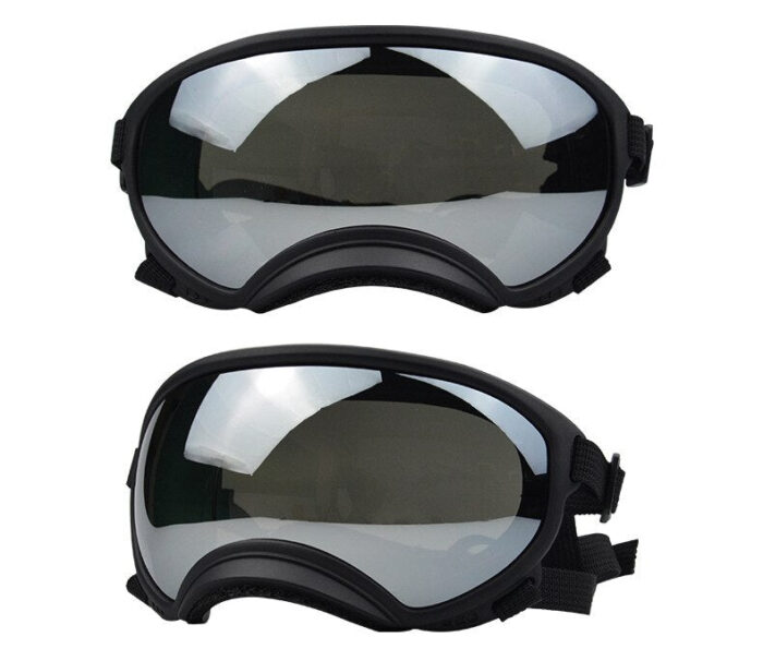 Dog Goggles InBudgets