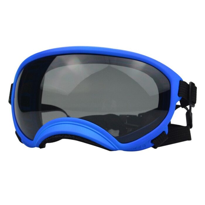 Dog Goggles InBudgets