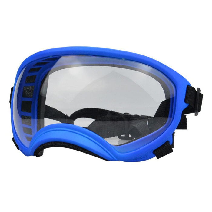 Dog Goggles InBudgets