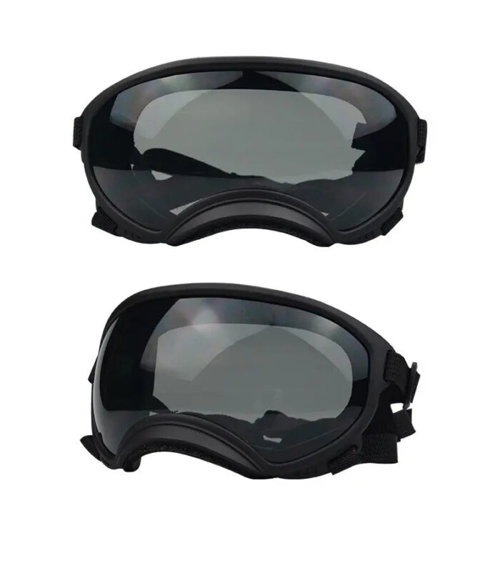 Dog Goggles InBudgets