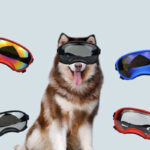 Dog Goggles InBudgets