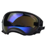 Dog Goggles InBudgets