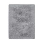 Premium Fluffy Rugs Anti-Skid Shaggy Area Rug